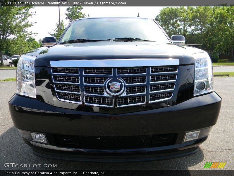 Black Raven / Cashmere/Cocoa 2010 Cadillac Escalade Premium AWD