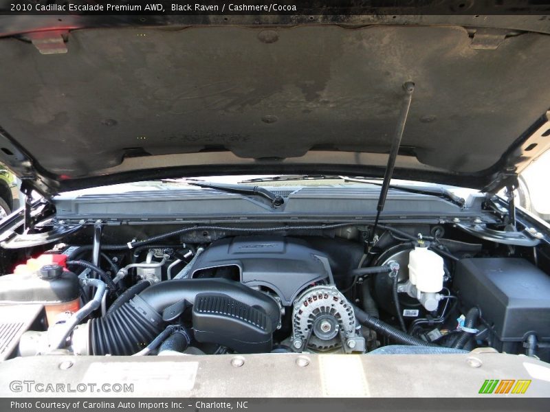Black Raven / Cashmere/Cocoa 2010 Cadillac Escalade Premium AWD
