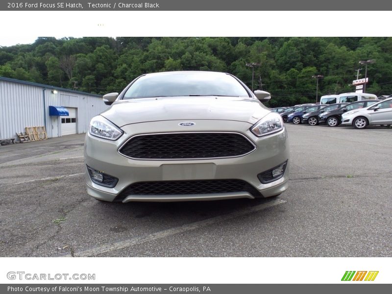 Tectonic / Charcoal Black 2016 Ford Focus SE Hatch