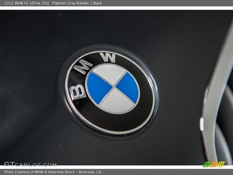 Platinum Gray Metallic / Black 2013 BMW X5 xDrive 35d