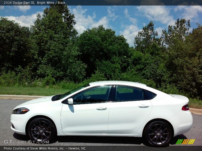 Bright White / Black 2016 Dodge Dart SE