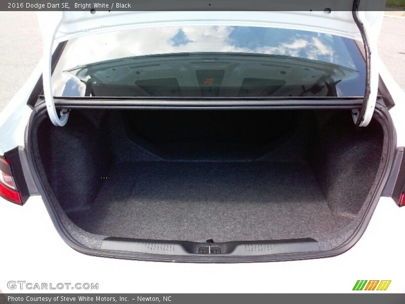 Bright White / Black 2016 Dodge Dart SE