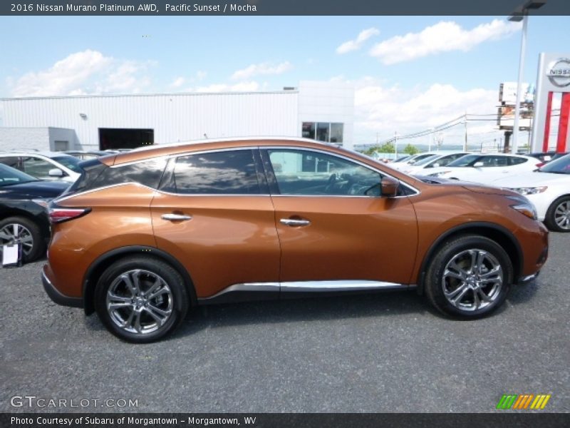Pacific Sunset / Mocha 2016 Nissan Murano Platinum AWD