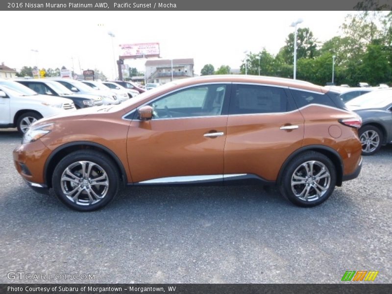Pacific Sunset / Mocha 2016 Nissan Murano Platinum AWD