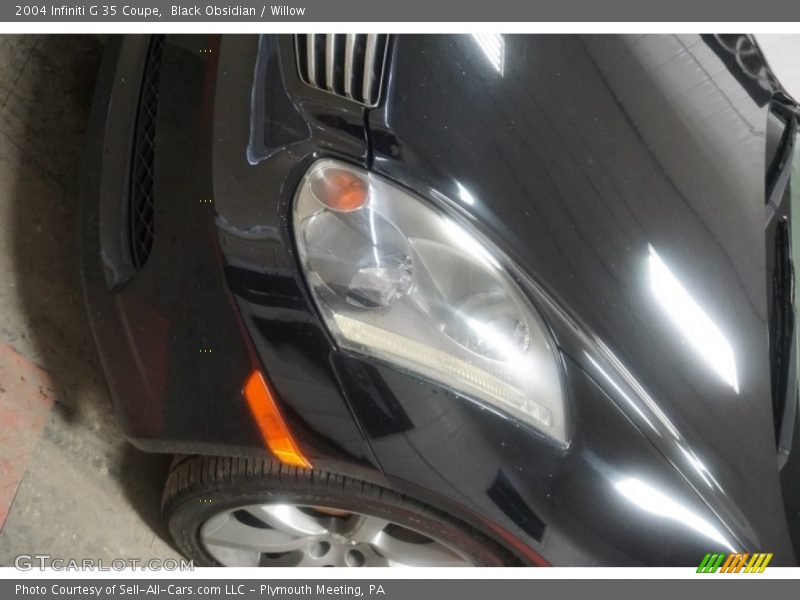 Black Obsidian / Willow 2004 Infiniti G 35 Coupe