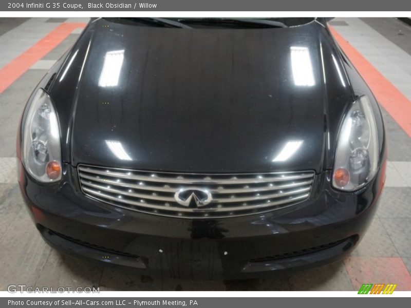 Black Obsidian / Willow 2004 Infiniti G 35 Coupe