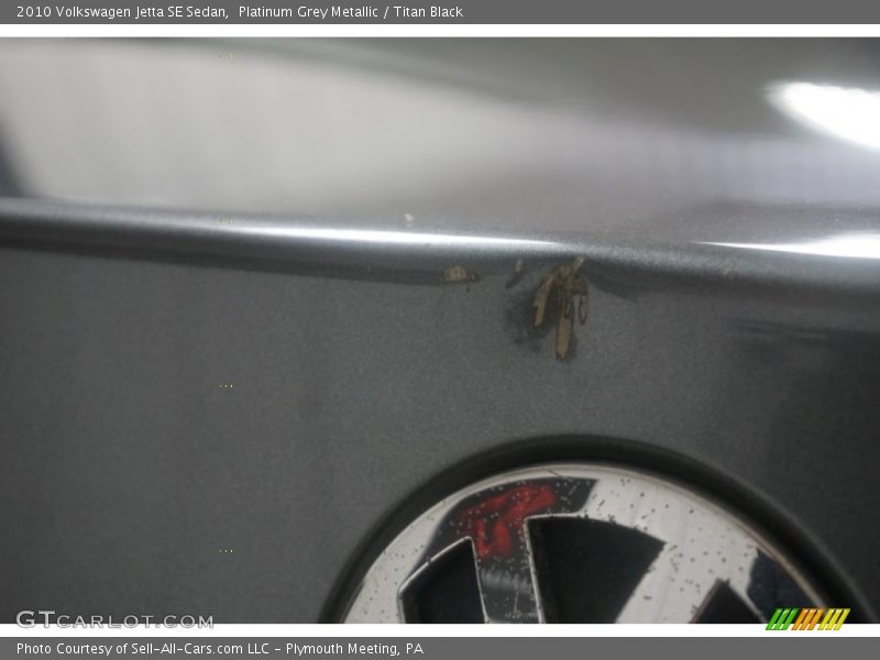 Platinum Grey Metallic / Titan Black 2010 Volkswagen Jetta SE Sedan