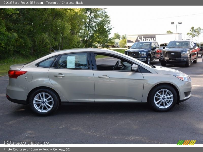 Tectonic / Charcoal Black 2016 Ford Focus SE Sedan