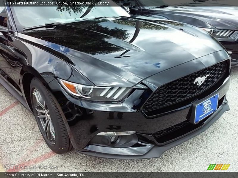 Shadow Black / Ebony 2016 Ford Mustang EcoBoost Coupe