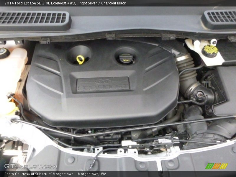 Ingot Silver / Charcoal Black 2014 Ford Escape SE 2.0L EcoBoost 4WD