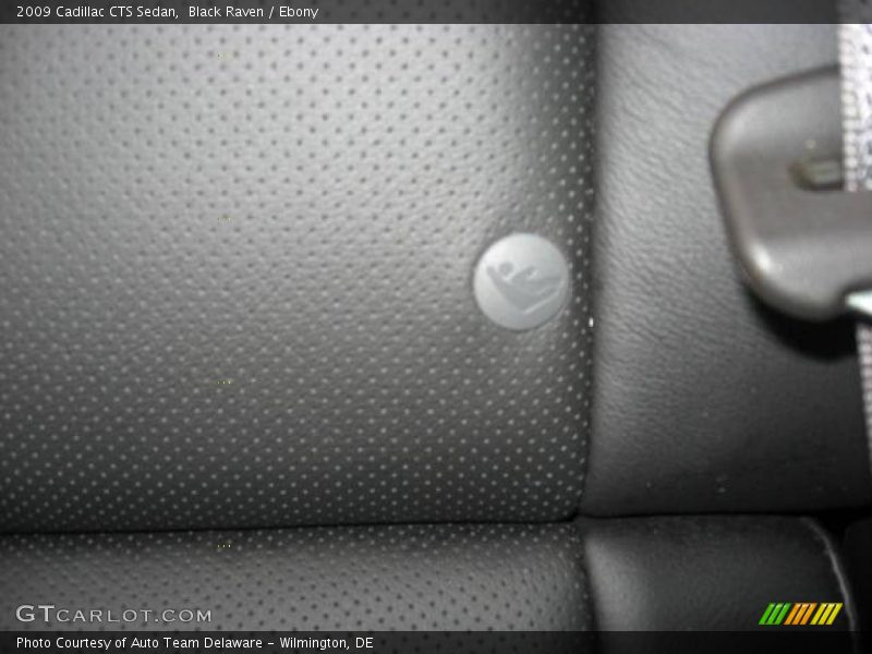 Black Raven / Ebony 2009 Cadillac CTS Sedan