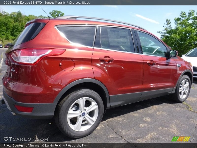 Sunset Metallic / Charcoal Black 2016 Ford Escape SE 4WD