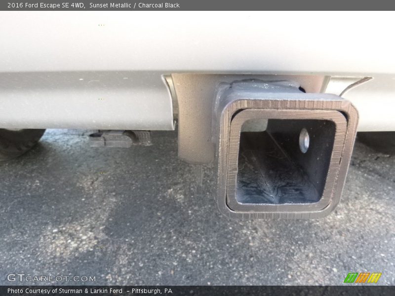 Sunset Metallic / Charcoal Black 2016 Ford Escape SE 4WD
