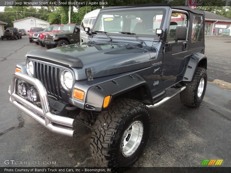 Steel Blue Pearl / Agate Black 2002 Jeep Wrangler Sport 4x4