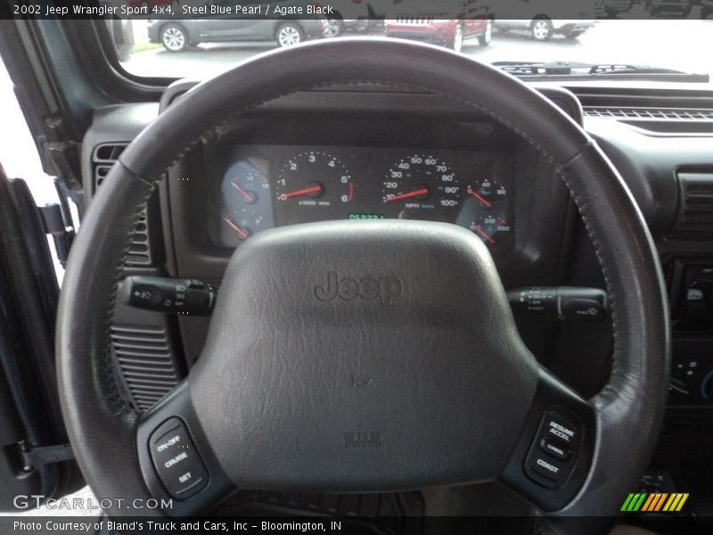 Steel Blue Pearl / Agate Black 2002 Jeep Wrangler Sport 4x4