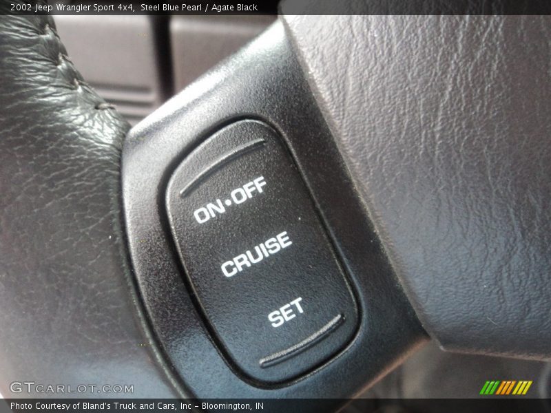 Steel Blue Pearl / Agate Black 2002 Jeep Wrangler Sport 4x4