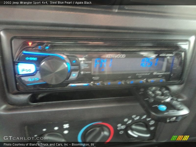 Steel Blue Pearl / Agate Black 2002 Jeep Wrangler Sport 4x4