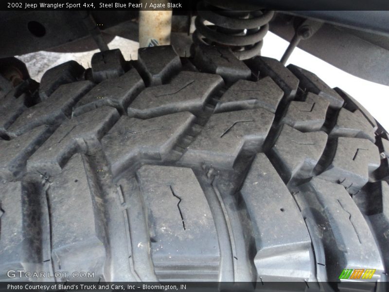Steel Blue Pearl / Agate Black 2002 Jeep Wrangler Sport 4x4