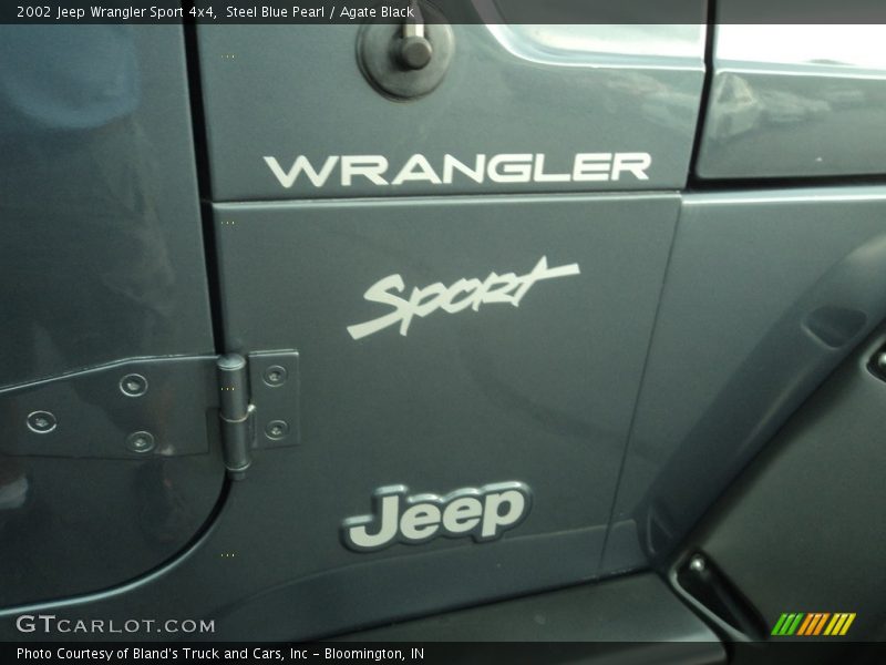Steel Blue Pearl / Agate Black 2002 Jeep Wrangler Sport 4x4