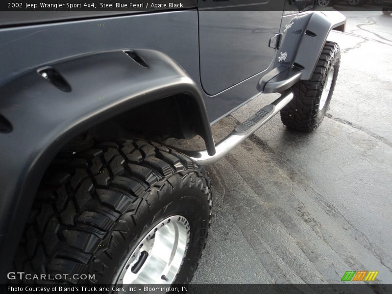 Steel Blue Pearl / Agate Black 2002 Jeep Wrangler Sport 4x4