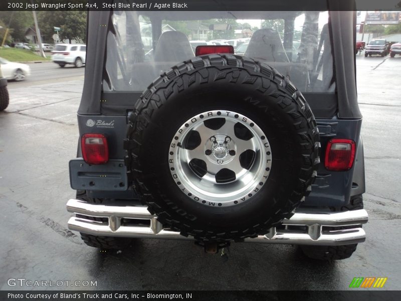 Steel Blue Pearl / Agate Black 2002 Jeep Wrangler Sport 4x4