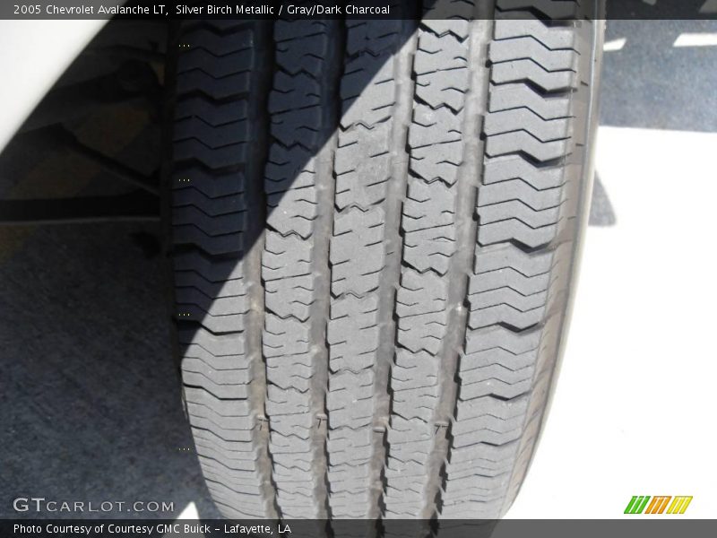 Silver Birch Metallic / Gray/Dark Charcoal 2005 Chevrolet Avalanche LT