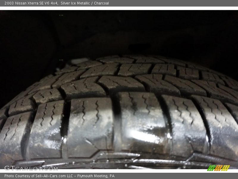 Silver Ice Metallic / Charcoal 2003 Nissan Xterra SE V6 4x4