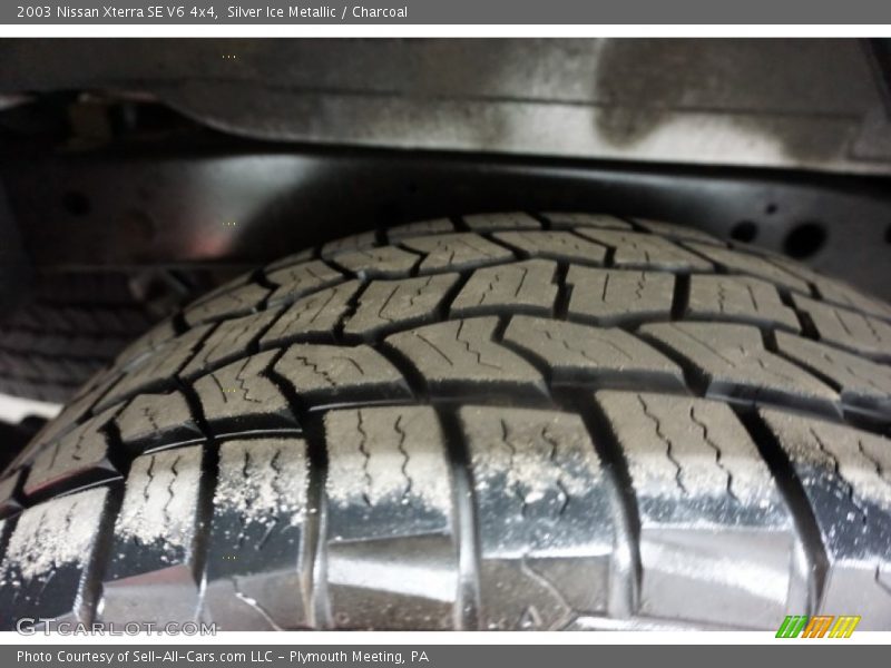 Silver Ice Metallic / Charcoal 2003 Nissan Xterra SE V6 4x4