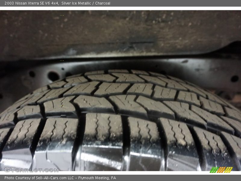 Silver Ice Metallic / Charcoal 2003 Nissan Xterra SE V6 4x4