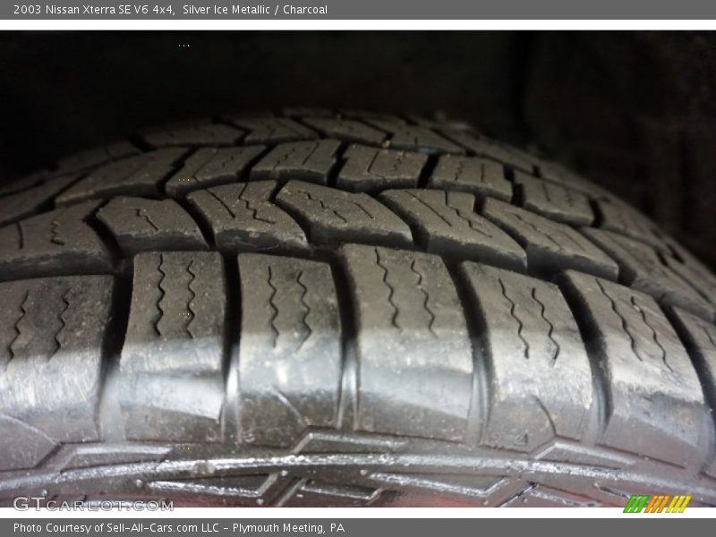 Silver Ice Metallic / Charcoal 2003 Nissan Xterra SE V6 4x4