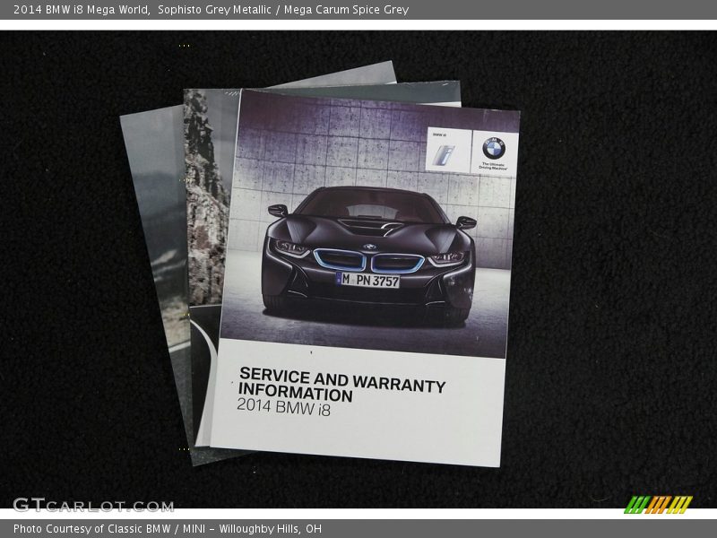 Sophisto Grey Metallic / Mega Carum Spice Grey 2014 BMW i8 Mega World