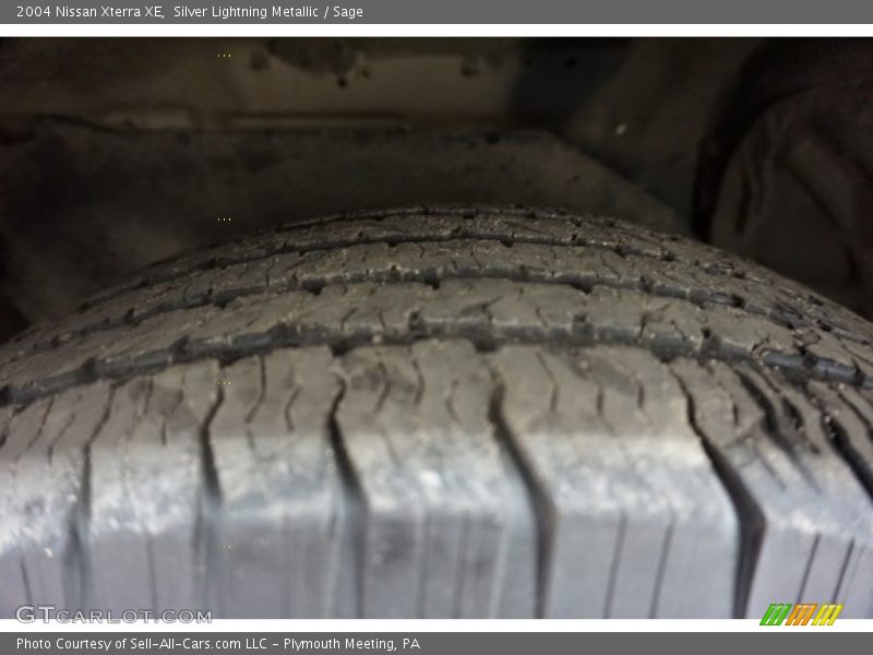 Silver Lightning Metallic / Sage 2004 Nissan Xterra XE