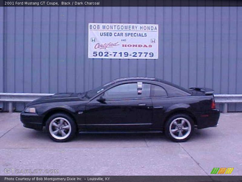 Black / Dark Charcoal 2001 Ford Mustang GT Coupe