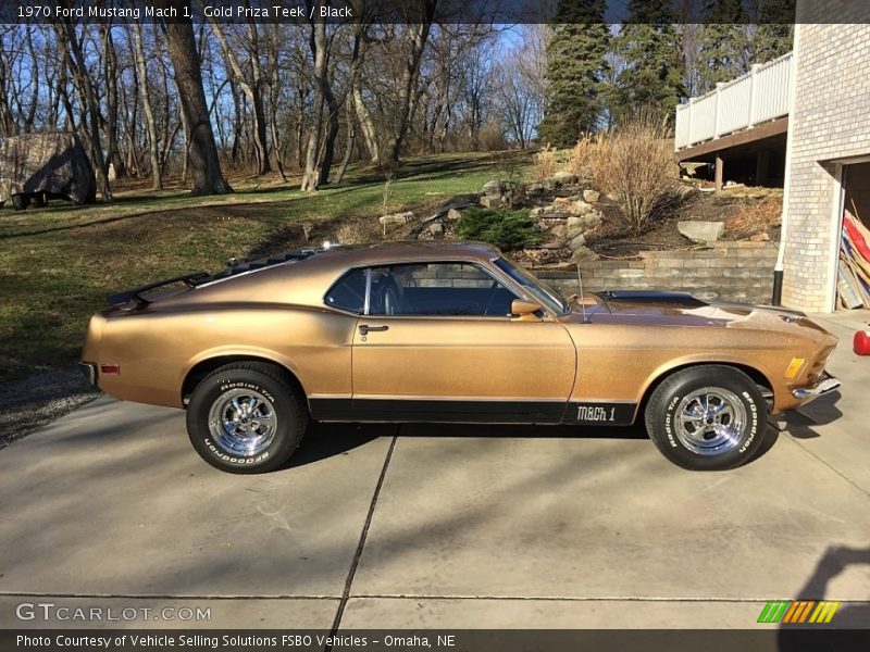 Gold Priza Teek / Black 1970 Ford Mustang Mach 1