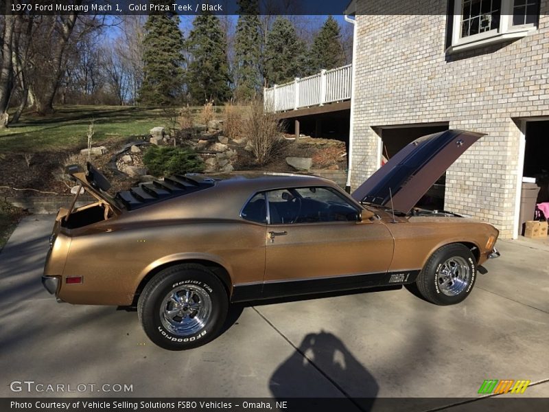 Gold Priza Teek / Black 1970 Ford Mustang Mach 1