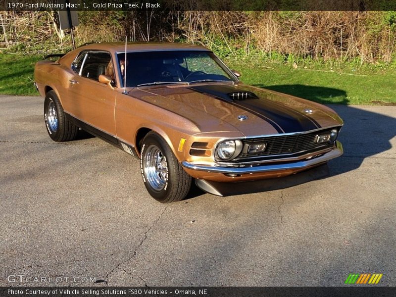 Gold Priza Teek / Black 1970 Ford Mustang Mach 1