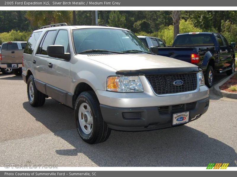 Silver Birch Metallic / Medium Flint Grey 2005 Ford Expedition XLS