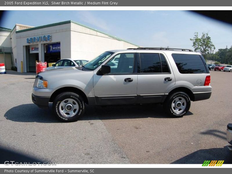 Silver Birch Metallic / Medium Flint Grey 2005 Ford Expedition XLS