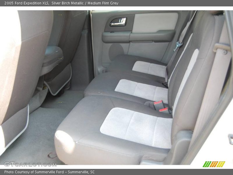 Silver Birch Metallic / Medium Flint Grey 2005 Ford Expedition XLS