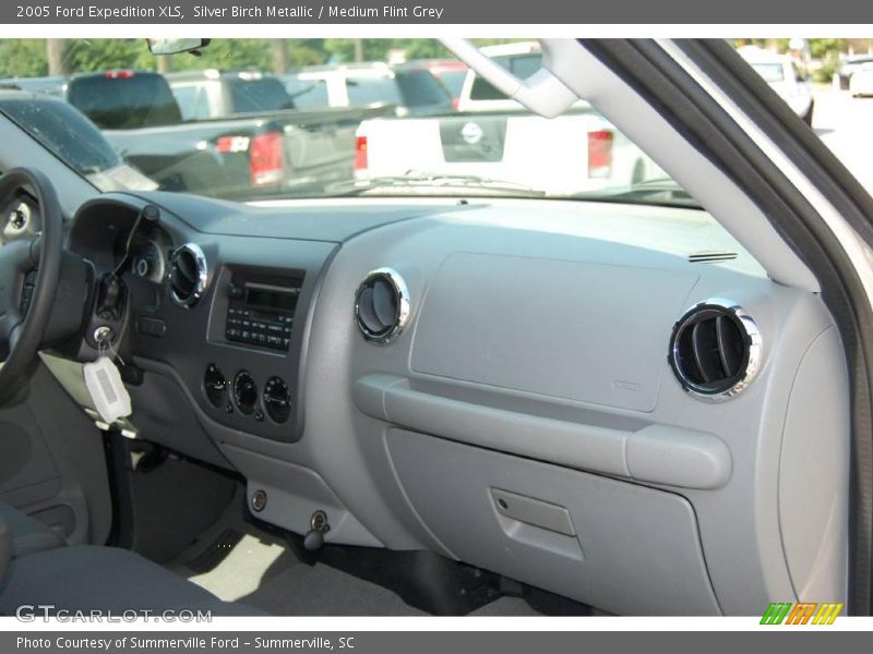 Silver Birch Metallic / Medium Flint Grey 2005 Ford Expedition XLS