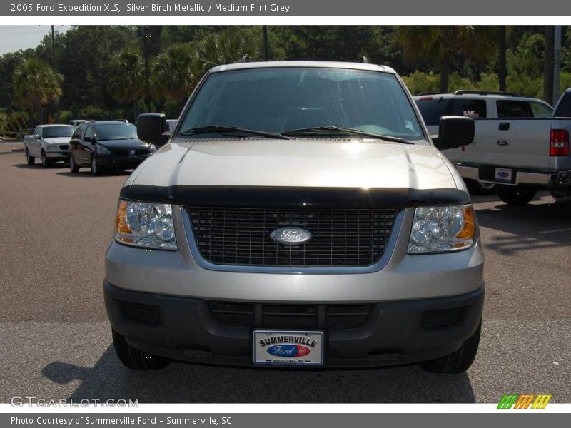 Silver Birch Metallic / Medium Flint Grey 2005 Ford Expedition XLS