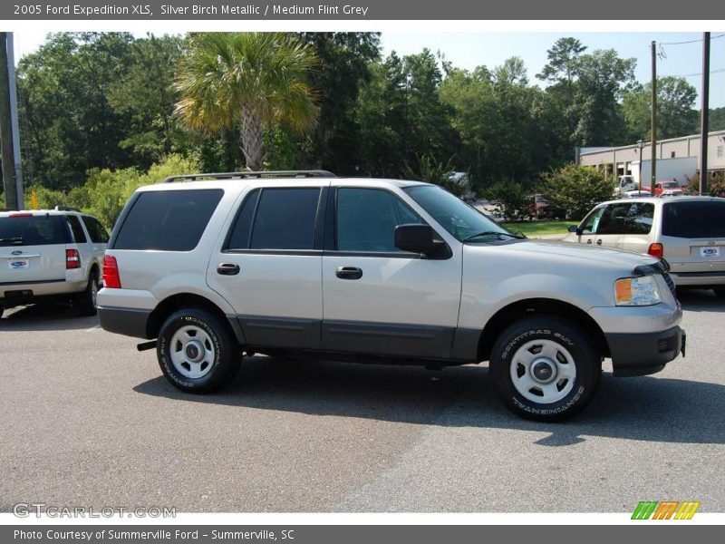 Silver Birch Metallic / Medium Flint Grey 2005 Ford Expedition XLS