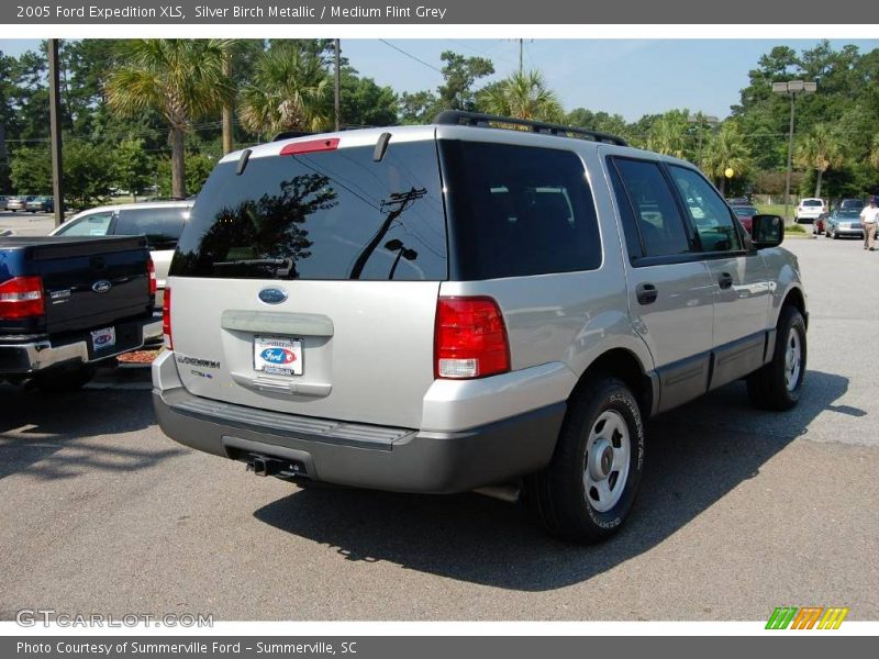 Silver Birch Metallic / Medium Flint Grey 2005 Ford Expedition XLS