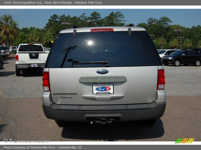 Silver Birch Metallic / Medium Flint Grey 2005 Ford Expedition XLS
