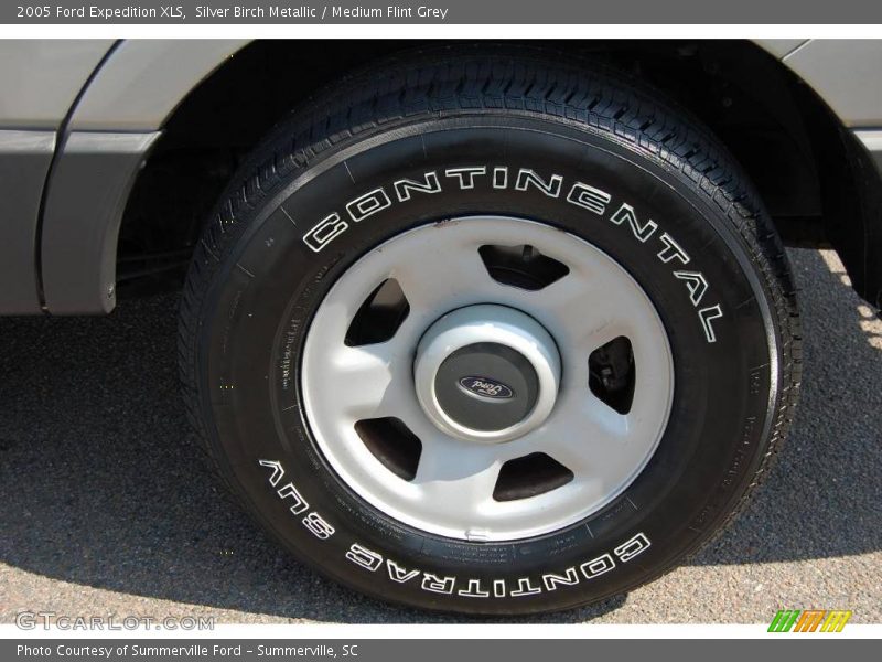 Silver Birch Metallic / Medium Flint Grey 2005 Ford Expedition XLS