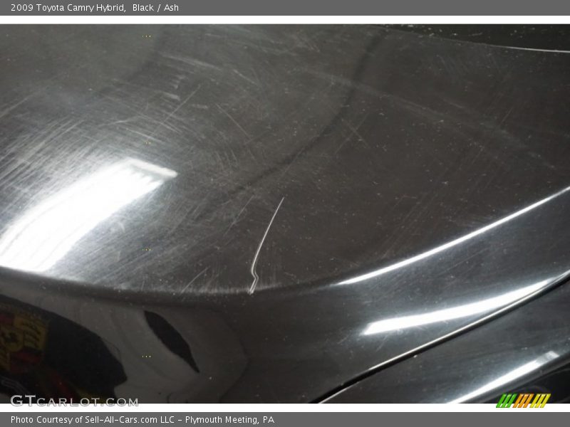 Black / Ash 2009 Toyota Camry Hybrid