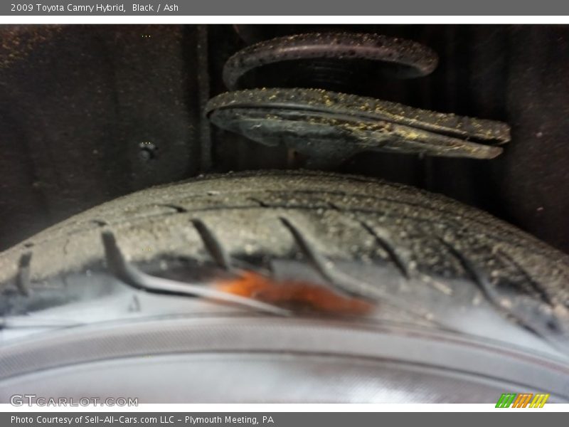 Black / Ash 2009 Toyota Camry Hybrid