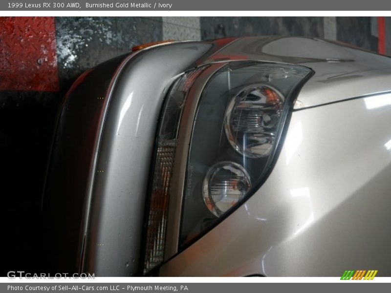 Burnished Gold Metallic / Ivory 1999 Lexus RX 300 AWD