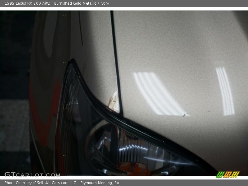 Burnished Gold Metallic / Ivory 1999 Lexus RX 300 AWD