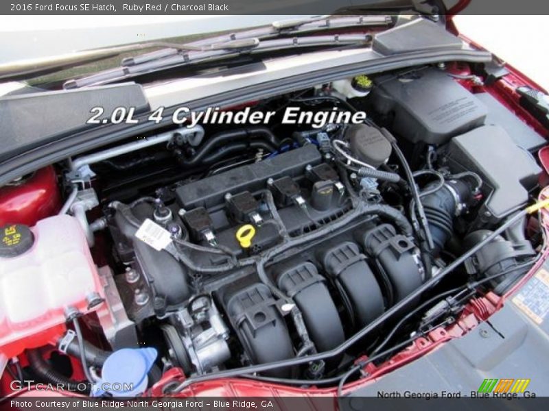 Ruby Red / Charcoal Black 2016 Ford Focus SE Hatch